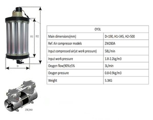 Fábrica BIBO, Generador de Oxígeno de 3L, 5L, 8L, 10L, 20L, Fabricante de Torres de Oxígeno - Product Image 2