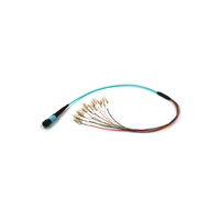 12 Core Tight Buffer 0.9mm MPO MTP à LC Patch Cord Fiber Optic Fanout Jumper pour ODF