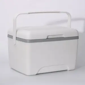 Wholesale 8L Professional Ice Chest Cooler Box Camping Cooler Box