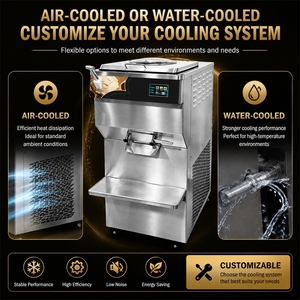 Máquina de Helado Duro Vertical de 150L/H con Enfriamiento por Agua, Congelador de Lotes, Máquina de Gelato de Tapa Abierta con Control de Sobrecarga Ajustable, Precio de Fábrica - Product Image 6