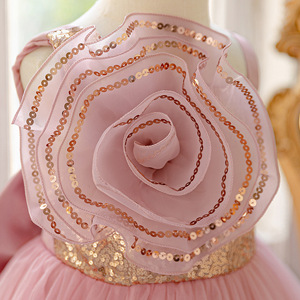 HP Kids 3D Princess <b>Dress</b> Girls Flower Girl Pageant Gown Baby <b>First</b> <b>Birthday</b> Party Wear Toddler Evening Performance Clothing - Product Image 4