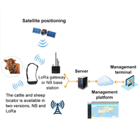 Traceur gps avec lora vache et mouton Élevage Intelligent Elevage Lorawan Localisation lora tracker bovin choc électrique