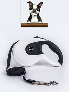 Laisse rétractable automatique en nylon réfléchissant pour chien, laisse extensible pour animaux de compagnie pour la promenade, anti-emmêlement Ps525 Ps-Lh - Product Image 5