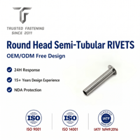 Rivets semi-tubulaires à tête ronde en acier inoxydable TianFang pour panneaux automobiles, finition passivée, tailles personnalisées