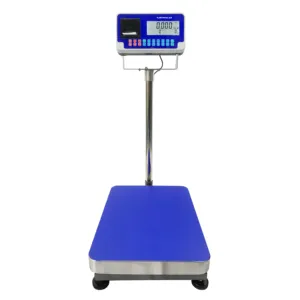 BWS 100/150/300kg Weight Scale Digital Platform Electronic Weigh Scale With Built-in Printer
