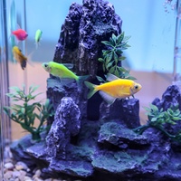 Kit d'aquarium de bureau silencieux avec filtre et lumière USB transparente pour poissons Betta et crevettes - Vente en gros