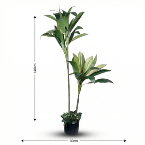 Planta Artificial de Dracaena de Dos Tallos, Planta Decorativa en Maceta de Tacto Real para Decoración de Interiores, Hogar, Oficina, Hotel - Product Image 3