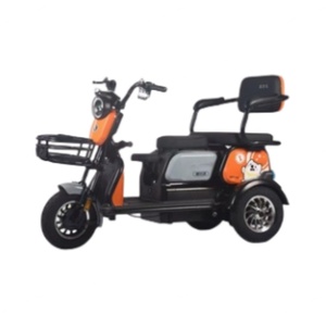 Triciclo Eléctrico Familiar Más Barato de China, 600W 48V, Trimoto Eléctrica, Scooter Eléctrico de 3 Ruedas para Adultos con Cesta - Product Image 1
