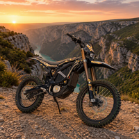 Vendeur populaire de la moto électrique tout-terrain Surron Ultra Bee L3e 2026, nouvelle moto électrique Surron 24,5 kW et 74 V avec une autonomie super longue