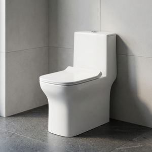 WC monobloc en céramique blanc nacré de fabrication indienne, standard européen, à chasse d'eau, à poser au sol - Product Image 4