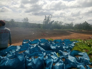 CÔTÉS DE CAFÉ SÉCHÉS LE MOINS CHERS (GRANDE TAILLE 10mm 8% d'humidité) Haute Qualité Vietnam pour VENTE EN GROS AUX FERMES Aliments pour animaux Engrais - Product Image 6