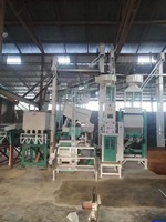 Prix d'usine 100-2000 kg/h Grande machine à décortiquer le riz 220V 380V Machine à blanchir le riz Portable Machine à décortiquer le riz moderne