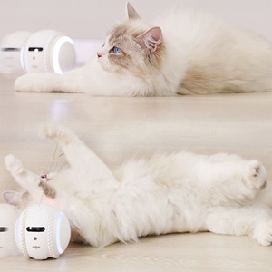 Grosir Pet Mate interaktif Robot kucing mainan Lucu indah karet silikon kamera HD dengan bola otomatis untuk anjing Self-Charging - Product Image 3