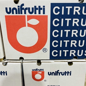 Chanh Eureka Tươi Từ Trung Quốc - Product Image 4