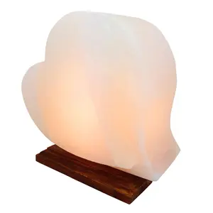 Meilleure lampe de sel sculptée à la main pour créer des espaces sereins en forme de cœur-Ioniseur de salle par Sian Enterprises