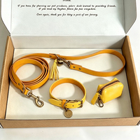 Ensemble de promenade pour animaux de compagnie JANYO personnalisé 3 en 1 en similicuir, collier pour chien, laisse assortie avec pochette pour sacs à déjections, décoration à pompon