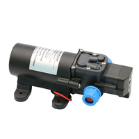 Pompa Air Diafragma Self-Priming Mikro Desun 12V 24V 60W 5L/Menit dengan Saklar Cerdas Tekanan Tinggi untuk Industri Otomotif