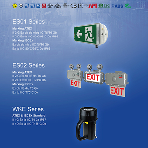 Luminaire d'urgence antidéflagrant à prix d'usine, batterie au lithium, lettres vertes, éclairage de sortie d'urgence IECEx ATEX - Product Image 6