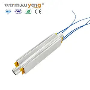 Factory Customized 200W/400W/600W Insulated Type 12v water ptc heater resistor element PTC water heating element