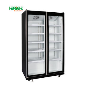 Congelador Comercial Vertical de Una Sola Temperatura, Multi-Nivel, con Puerta de Vidrio, para Supermercados, Enchufable, de Alto Brillo - Product Image 3