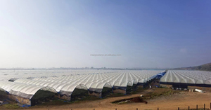 Rivestimento in polietilene con Film plastico trasparente per serra trattato <span class=keywords><strong>UV</strong></span> 200mic per tenda da serra - Product Image 4