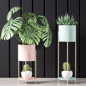 Support de <span class=keywords><strong>plante</strong></span> rose bleu or décor à la maison moderne support moyen support en <span class=keywords><strong>fer</strong></span> forgé intérieur Pot de fleur en métal support de <span class=keywords><strong>plante</strong></span> - Product Image 6