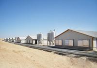 Abri d'élevage préfabriqué en acier pour chèvres ânes moutons vaches poulets élevage de volailles