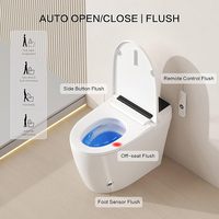 WC intelligent de luxe WaterMark avec capteur de chasse d'eau automatique et bidet intégré pour salle de bain