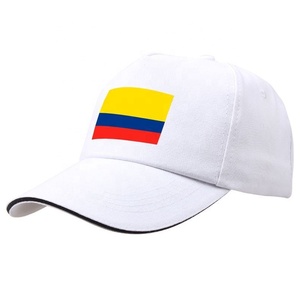 Casquette de campagne électorale personnalisée pour la présidentielle colombienne, unisexe, 6 panneaux, 100 % polyester, à motif imprimé, économique - Product Image 3