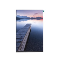 Modul Layar LCD IPS TFT 800*1280 Antarmuka MIPI 10.1 Inci dengan Panel Sentuh Kapasitif, Lampu Latar LED, dan Pemasangan Panel