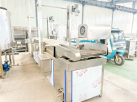 Volledig automatische continue friteuse met transportband voor het maken van knapperige snacks uit pellet-, chip- en bonenproducten.