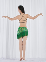 Costume de Danse Orientale Professionnel : Foulard de Hanches, Ceinture de Danse du Ventre, Jupe Enroulée, Tenues à Paillettes et Franges pour Femmes – Idéal pour la Performance