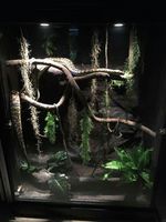 Enclos pour serpent en PVC 4 pieds Reptile 200 gallons 90x30x50 réservoir Humidificateur d'angle Taille personnalisée Lézard Incassable Paludarium Terrarium