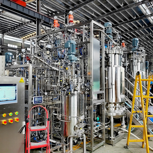 Bailun Thép Không Gỉ Sinh Tổng Hợp Ổn Định Phòng Thí Nghiệm Từ Khuấy 20L Thủy Tinh Borosilicate Di Động Bioreactor BLBIO-20GJC - Product Image 5