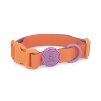 Collier pour petit chien coloré, tendance, imperméable, réglable, à libération rapide, réfléchissant, doux, imprimé, personnalisé, couleur personnalisée, pour chiot