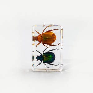 Benji-مجسمات حشرات حقيقية, مصنوعة من الراتينج ، باللون الأخضر ، الزهري ، الخنفساء ، حشرة ، مصنع بوزن الورق - Product Image 2