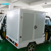Voiture de transport de fret, camion de cargaison, mini voiture de cargaison électrique, camion de courrier de livraison express