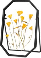 Cadre flottant en aluminium brossé de précision, style galerie, pour affichage mural de toiles, impressions photo, cadeau d'entreprise