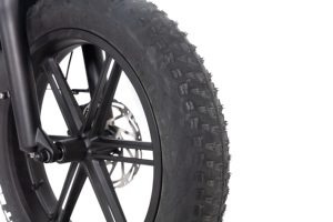 <span class=keywords><strong>Vélo</strong></span> <span class=keywords><strong>électrique</strong></span> pliable <span class=keywords><strong>à</strong></span> pneus larges avec modes d'assistance 120 km, batterie LG 48V15Ah, moteur Sutong 48V500W, frein hydraulique Tektro, Shimano 7 vitesses - Product Image 4