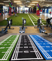 Karpet Turf Buatan Profesional untuk Gym, Alas Tarik Sled, Grosir Langsung dari Pabrik, Kerjasama