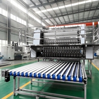 Machine d'emballage de nouilles séchées en bâtonnets, équipement de fabrication de nouilles séchées en bâtonnets, ligne de production