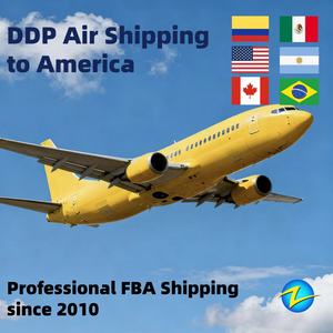 中国对美国汉堡鹿特丹比利时勒阿弗尔热那亚桑托斯船舶运输服务DAP条款 - Product Image 4