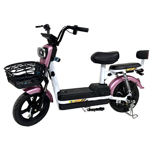 Vélo électrique <span class=keywords><strong>de</strong></span> Shandong pour adultes, 3 vitesses, <span class=keywords><strong>frein</strong></span> à <span class=keywords><strong>tambour</strong></span>, batterie au plomb-acide avec pédales, autonomie <span class=keywords><strong>de</strong></span> 50 km - Product Image 5