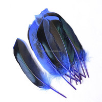 Plumes de corps de canard colvert bleu irisé, plumes d'aile de canard colvert pour décoration de mariage et accessoires d'artisanat
