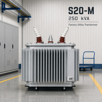 Transformateur de distribution triphasé immergé dans l'huile 250 kVA 6-35 kV, 50/60 Hz, certifié IEC