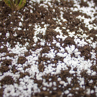 Vente en gros en vrac de qualité supérieure 50L 100L expansé pour l'horticulture Perlite agricole d'empotage agricole horticole