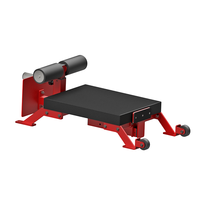 YDYFIT Banc de fitness commercial classique, Chaise romaine en acier pour les fessiers et les ischio-jambiers, Équipement de musculation Modèle N0069