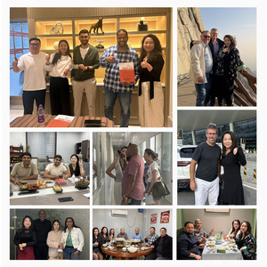 Impastatrice Elettrica Automatica di Alta Qualità da <span class=keywords><strong>25</strong></span> kg per Impasti Commerciali di Torte e Alimenti - Product Image 6