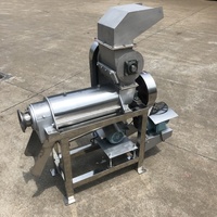 Industriële Juicer Hoge Kwaliteit Hete Verkoop Fabriek Prijs Vruchtensap Groentesap Hoge Sapopbrengst