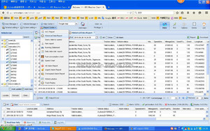 GPS Hệ thống theo dõi với API tích hợp và logo của chúng tôi N tên thương hiệu trên phần mềm với máy chủ của chúng tôi GPS Tracker cho xe - Product Image 5